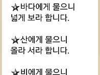 고양이 그리기