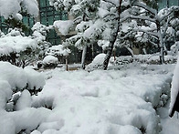 2015년 12월 천안하늘공원..
