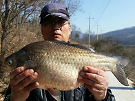 고삼지 시즌 시작입니다