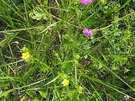 오랜만에 방문했습..