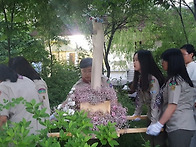 북수동성당 성모의밤 로사..