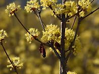 4조 강철입니다.