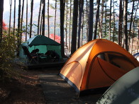 푸른숲 캠핑장