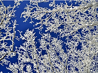 (행사종료)106차..