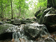 대한민국 산 등산..