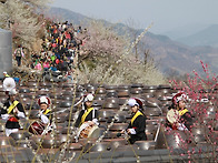 매화마을