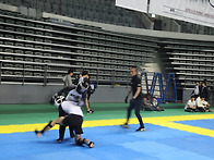 2016년 제1회 KFSO 종합..