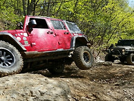 오늘 jeep들이 신났어요^^