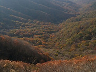 제15차 내장산 백양사~~