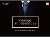CEO기업경영플랜 컨설팅 ..