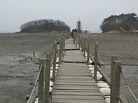 아름 다운 섬 자연 과 함..
