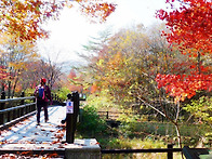 변산반도 내소사산행 11월..