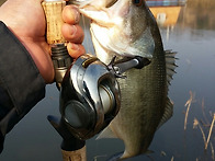 고삼 서삼초교 포인트 배스..