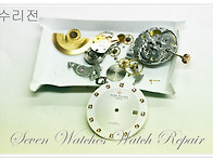 PATEK PHILIPPE 파텍필..