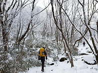 2018년 무등산 산행 사진