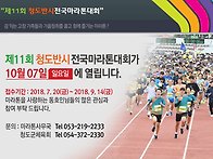 제11회 청도반시 전국마라..