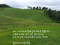 내가 아니라 그리스도께서