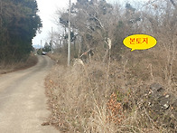 제주시 조천읍 선흘리 52..