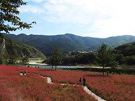 강원도 영월군 동강변의 ..