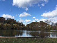 KISSENA PARK 11/ 2..