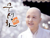 무생화 보현스님