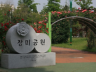 장미공원 풍경