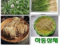 국내산 삼채 뿌리..