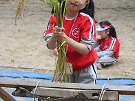 가을 소풍을 다녀왔습니다..