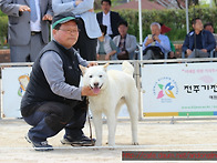 2016년4월24일 한국 애견..