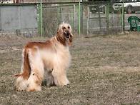 오랫만에 근황^^ (플라이,..