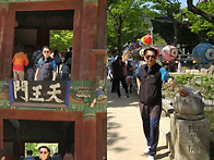 마음은 늘 고향 앞으로