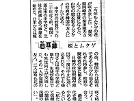 中日新聞 目耳錄에