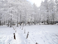 미리가보는 함백산