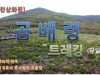 천상화원 곰배령 행사 안내..