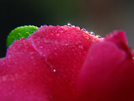 2주차 과제 ( 접사 )