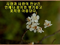 2019년 4월 7일 꿀꿀이들의..