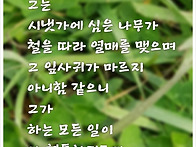 시편 1장3절