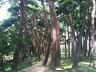 강릉 옥계 바닷가 - 달빛 ..