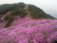 4월 어느날 천주산..