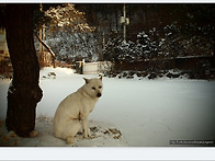 올겨울 첫눈....