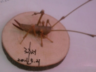 귀똘이 잘 간직할게요