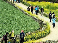 2011년 4월(미정)일 슬로..