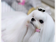 2012.9.2.일산 킨텍스 ＜..