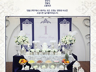 사파이어 네이비