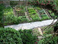 여러 스타일의 채소 정원