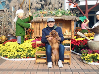 예삐와 동구청 국화축제 ..