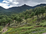 ＜10월 5일＞산림..
