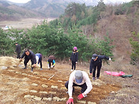 어머니 기일날 산소 잔디 ..