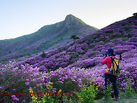 황매산에서