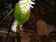 어제 벌들이 일 좀 하는군..